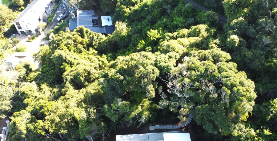Commercial Property for Sale in Wilderness Central Western Cape